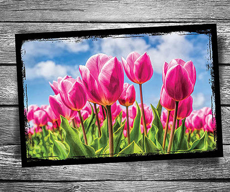 Brighten someone's day with spring flower postcards