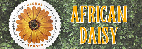 African Daisy Stamp