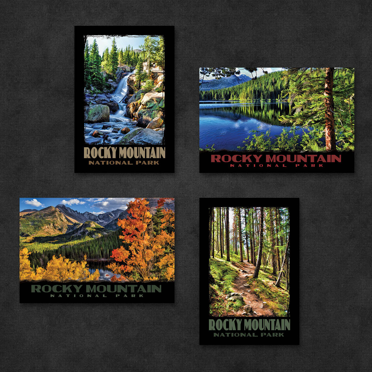 Rocky Mountain National Park Postcards | Set of 8