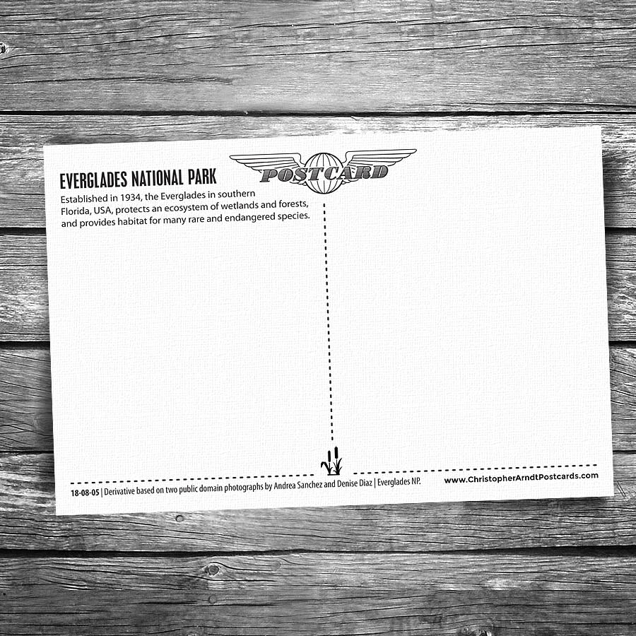 Greetings From Everglades National Park Postcard