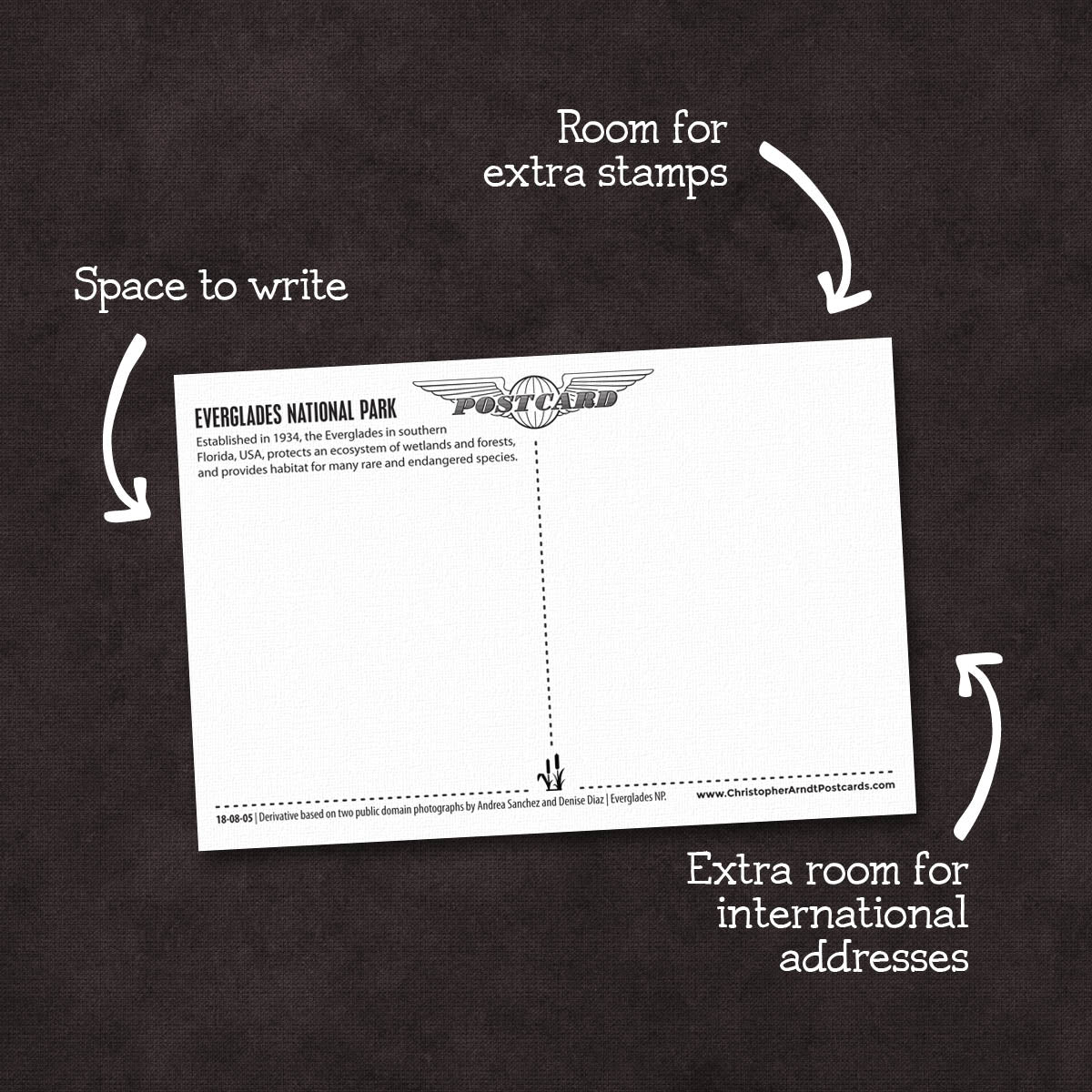 Everglades National Park Postcards | Set of 5