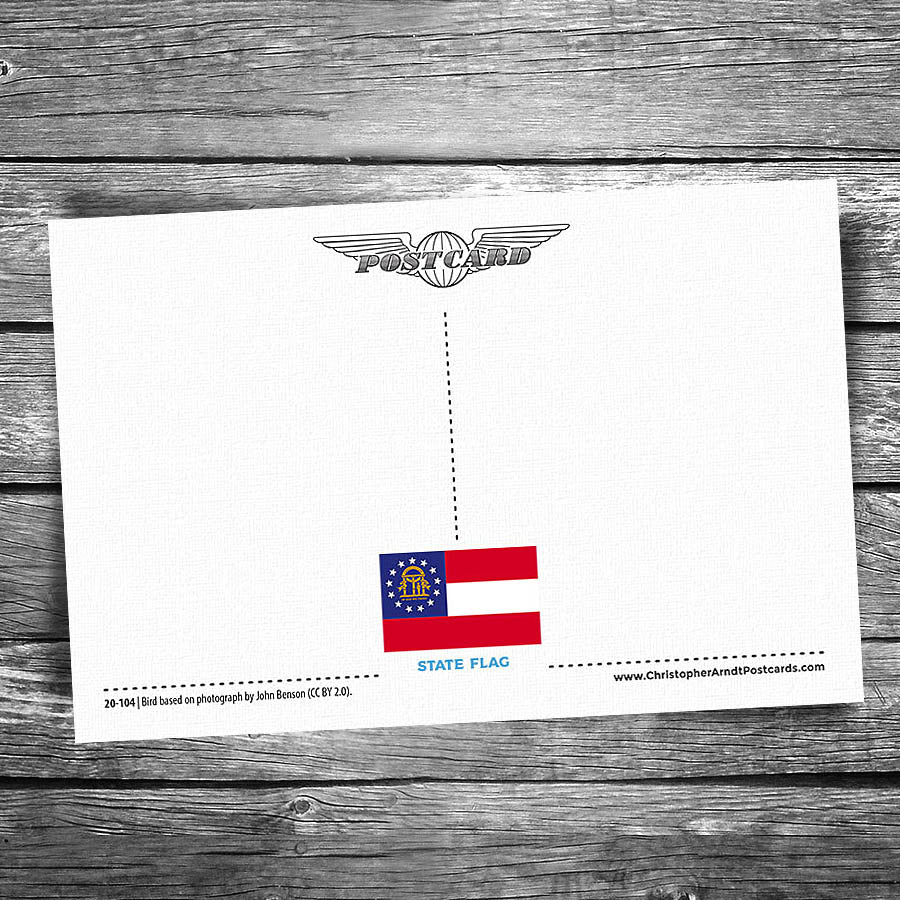 Greetings from Chatsworth GA Postcard | Set of 8