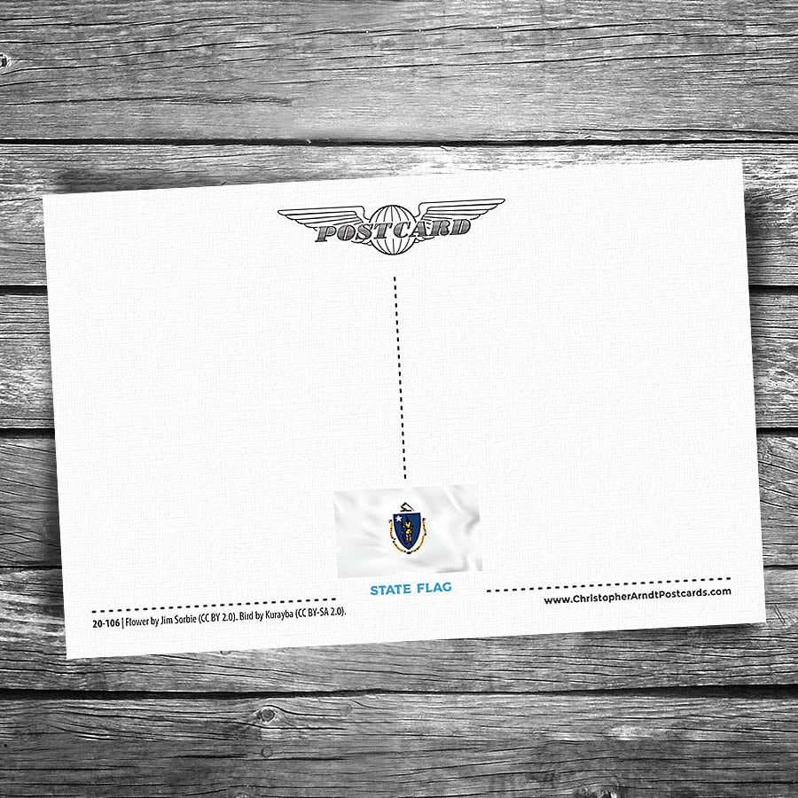 Greetings from Holbrook MA Postcard | Set of 8