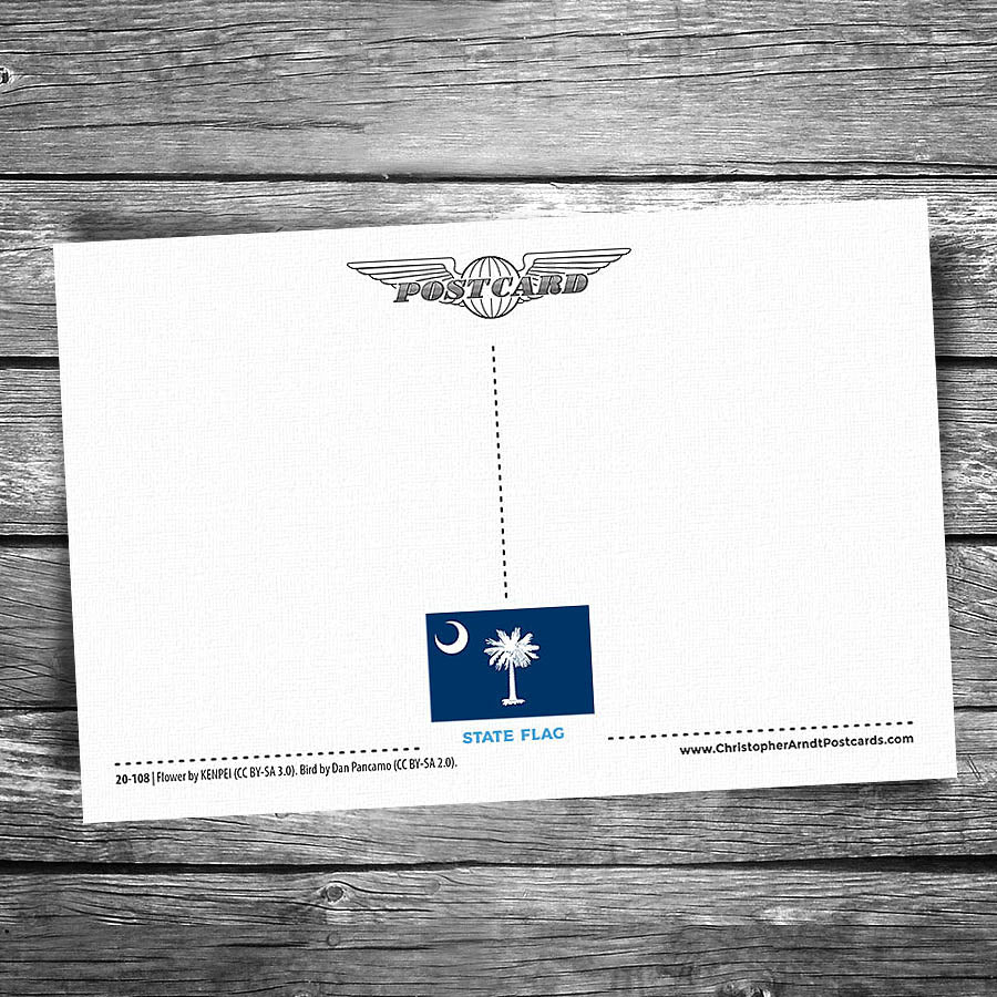 Greetings from South Carolina Postcard