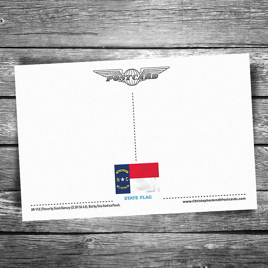 Greetings from Apex NC Postcard | Set of 8