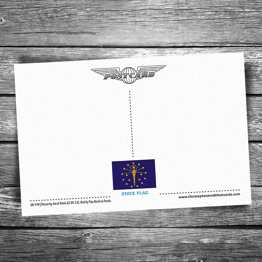 Greetings from Indiana Postcard