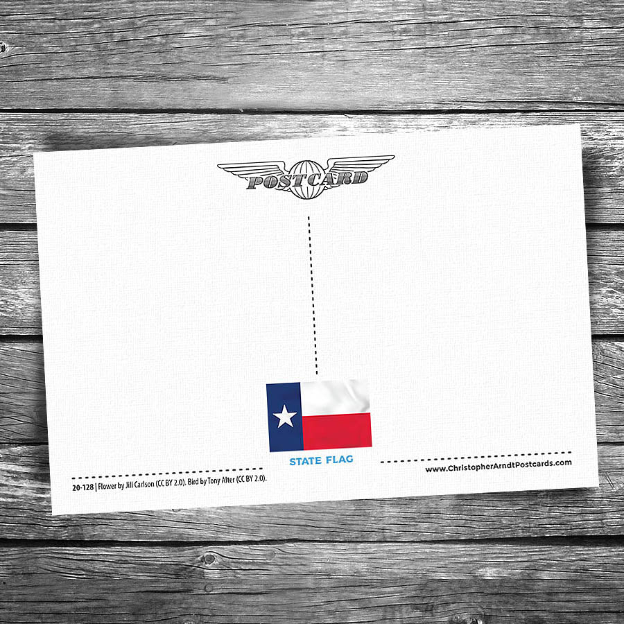 Greetings from Texas Postcard