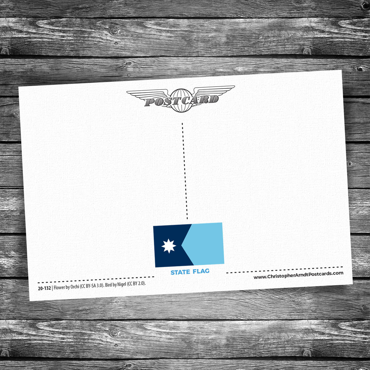 Greetings from Faribault MN Postcard | Set of 8