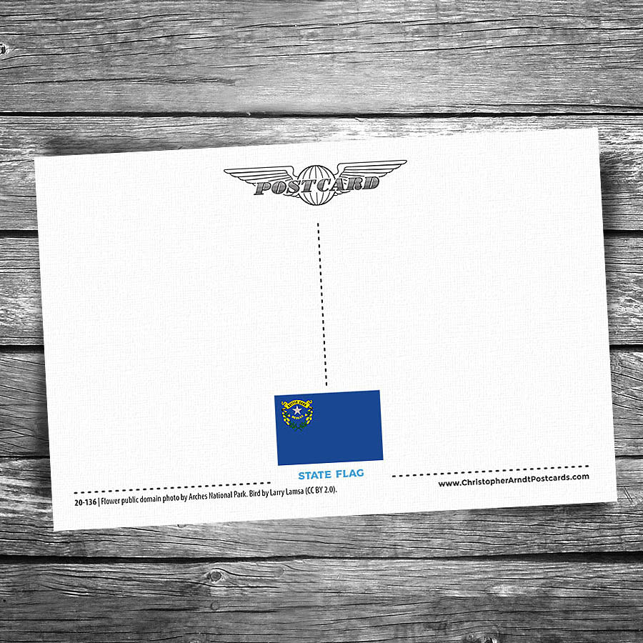 Greetings from Nevada Postcard