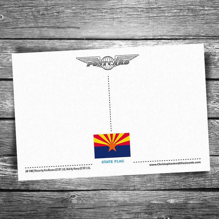 Greetings from Arizona Postcard