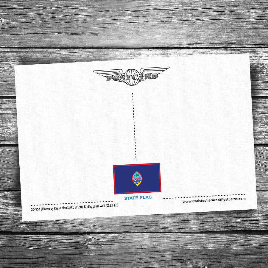 Greetings from Guam Postcard