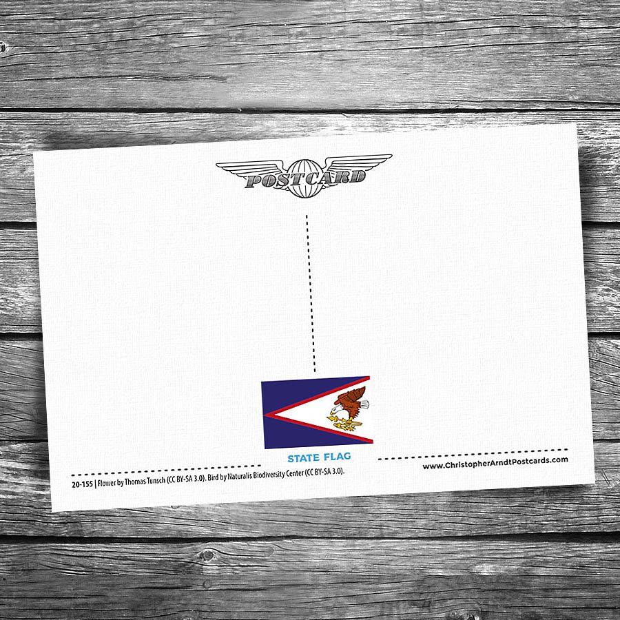 Greetings from American Samoa Postcard