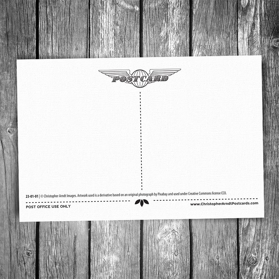 Basket of Kittens Postcard