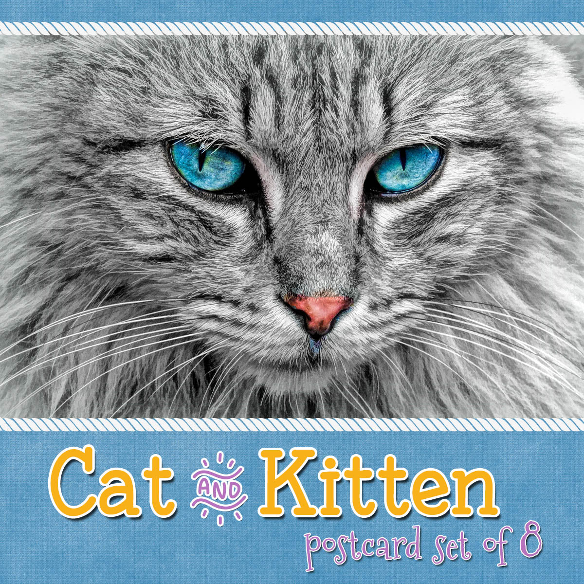 Cat and Kitten Postcards | Set of 8