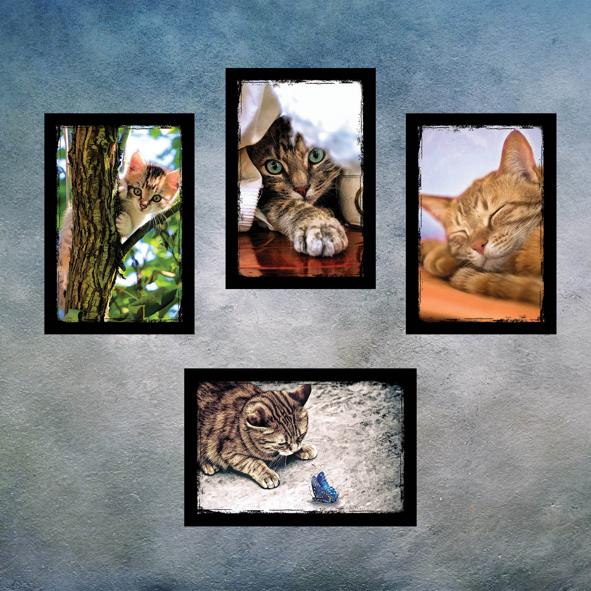 Cat and Kitten Postcards | Set of 8