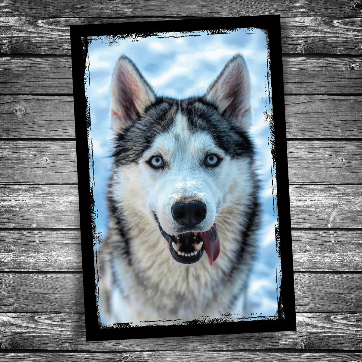 Husky Dog Postcard