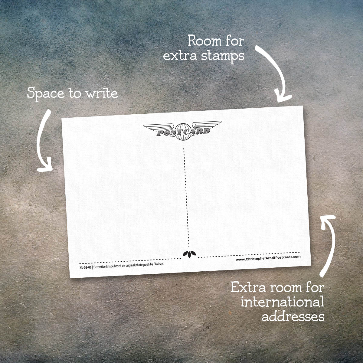 Dog and Puppy Postcards | Set of 12