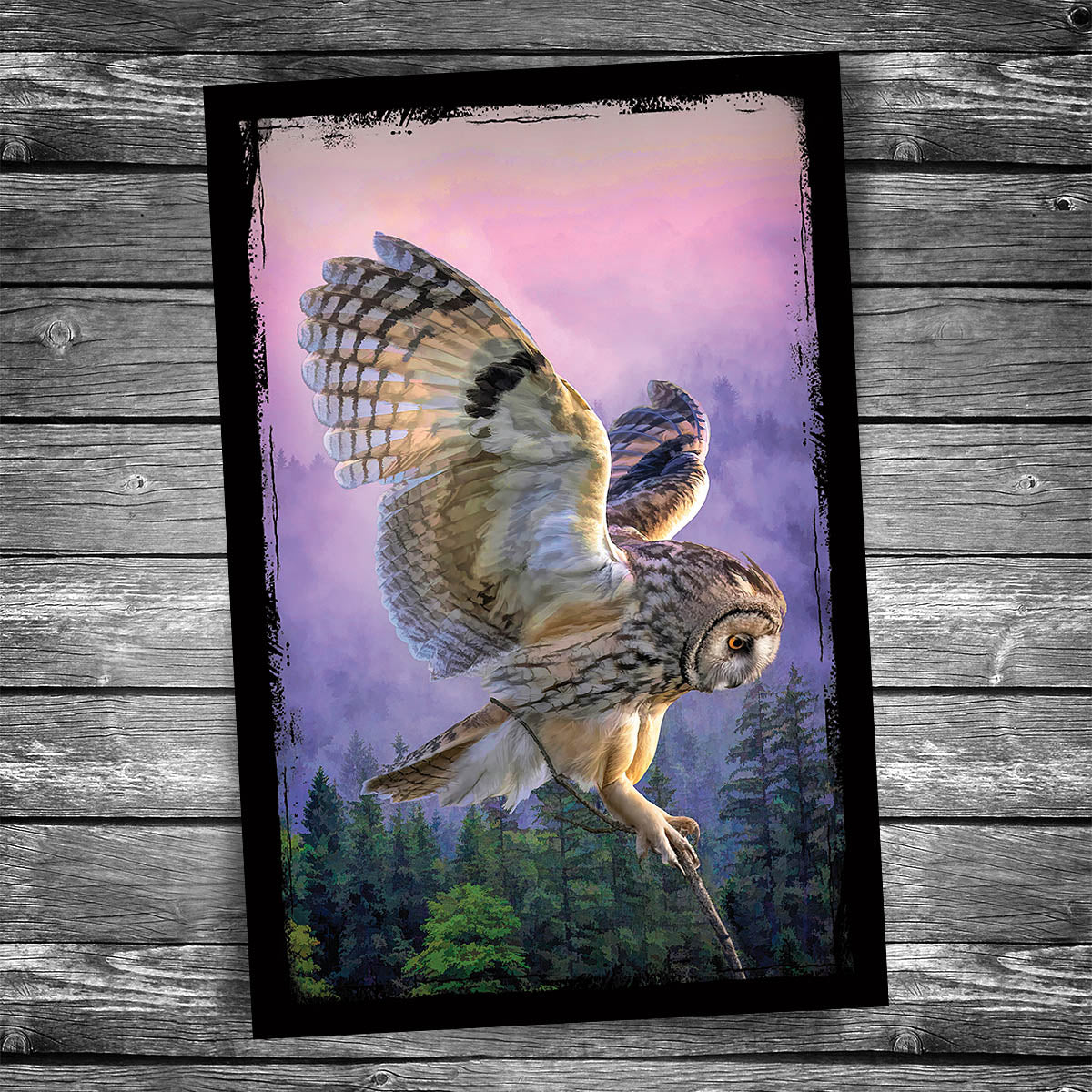 Grand Arrival Owl Postcard