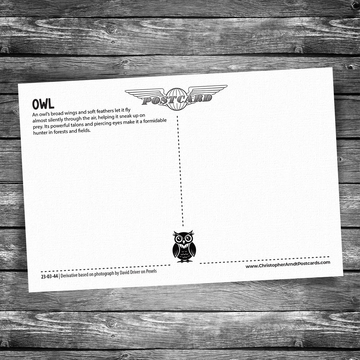 Grand Arrival Owl Postcard