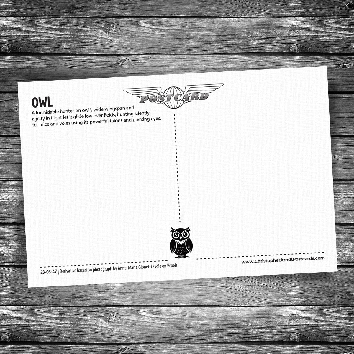 Silent Hunter Owl Postcard