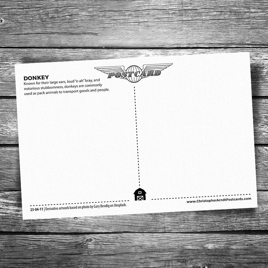 Donkey Postcard