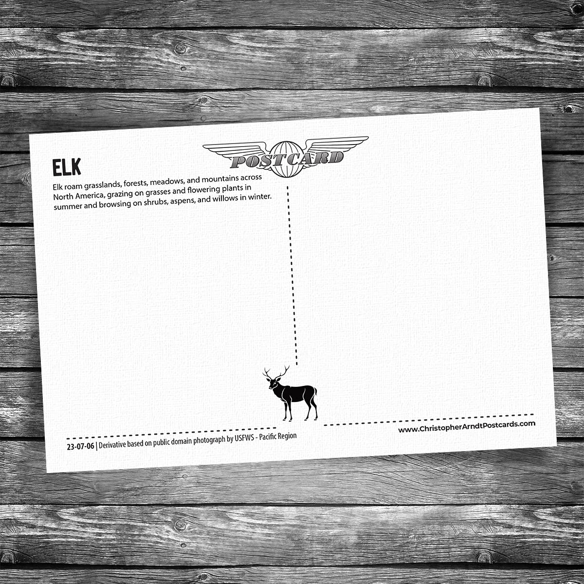 Elk Postcard