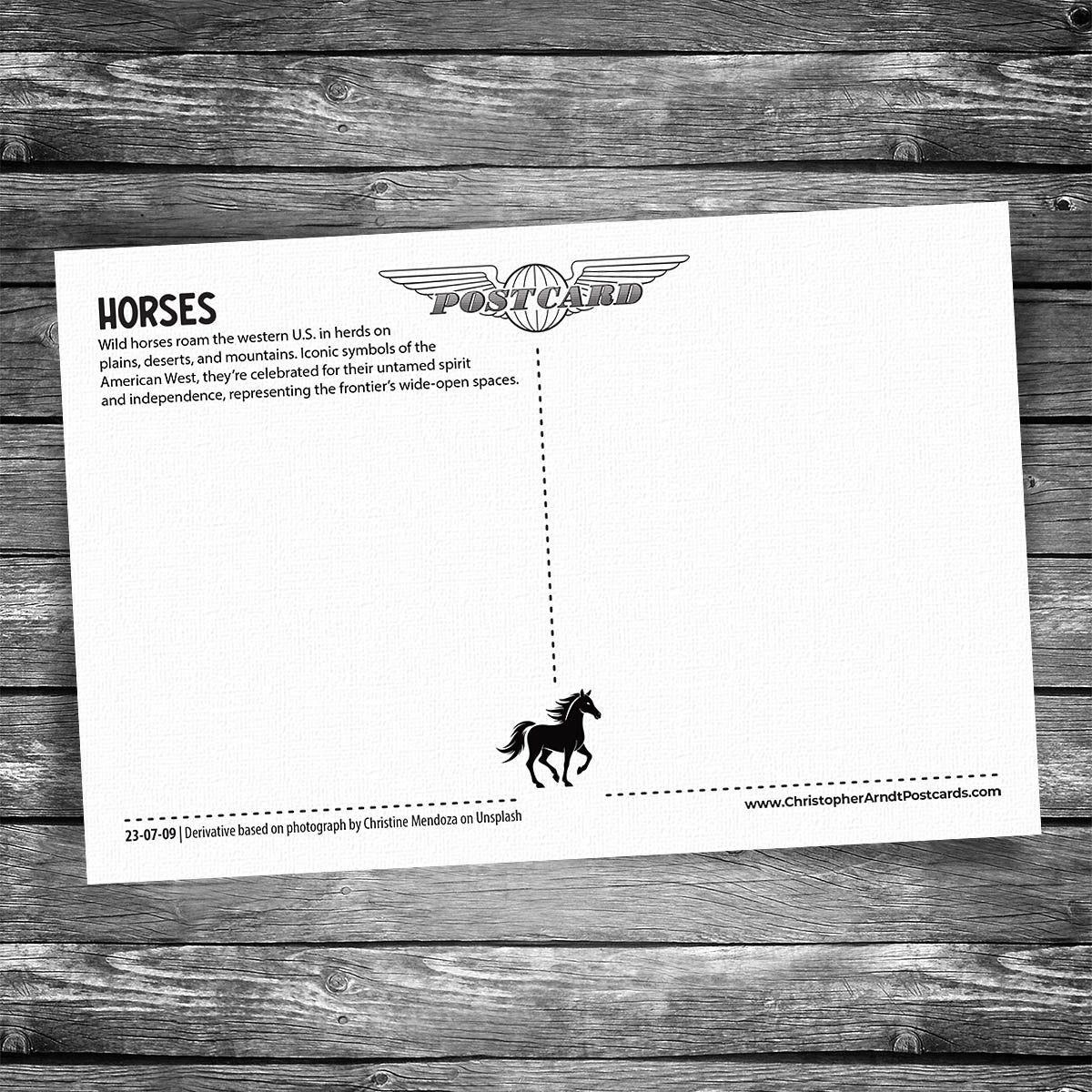 Wild Horses Postcard