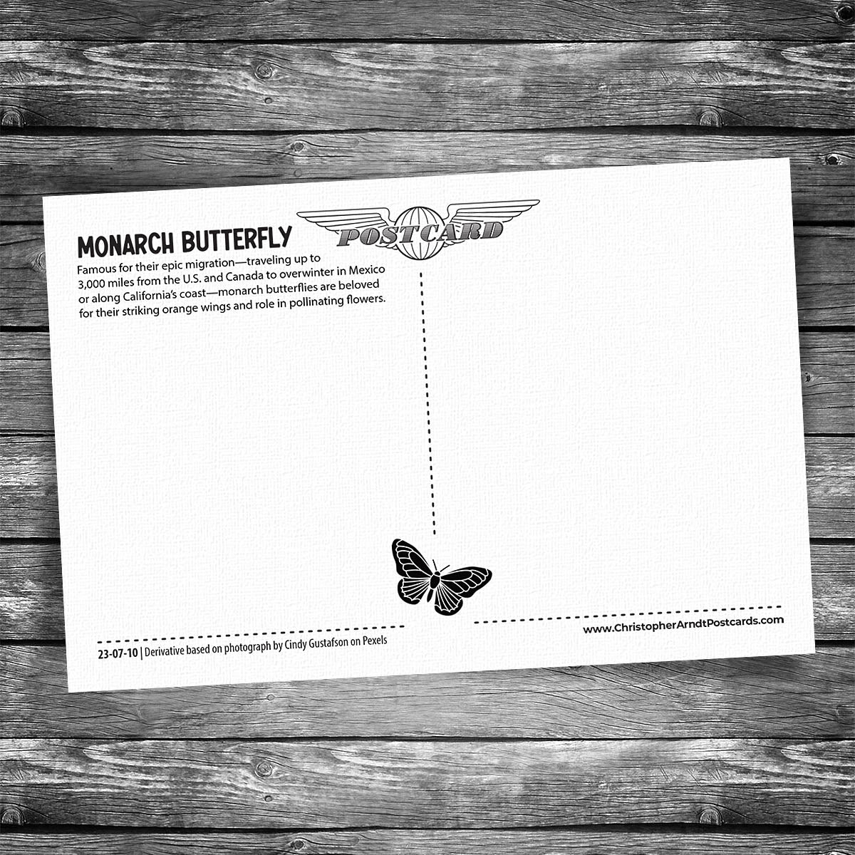 Orange Monarch Butterfly Postcard