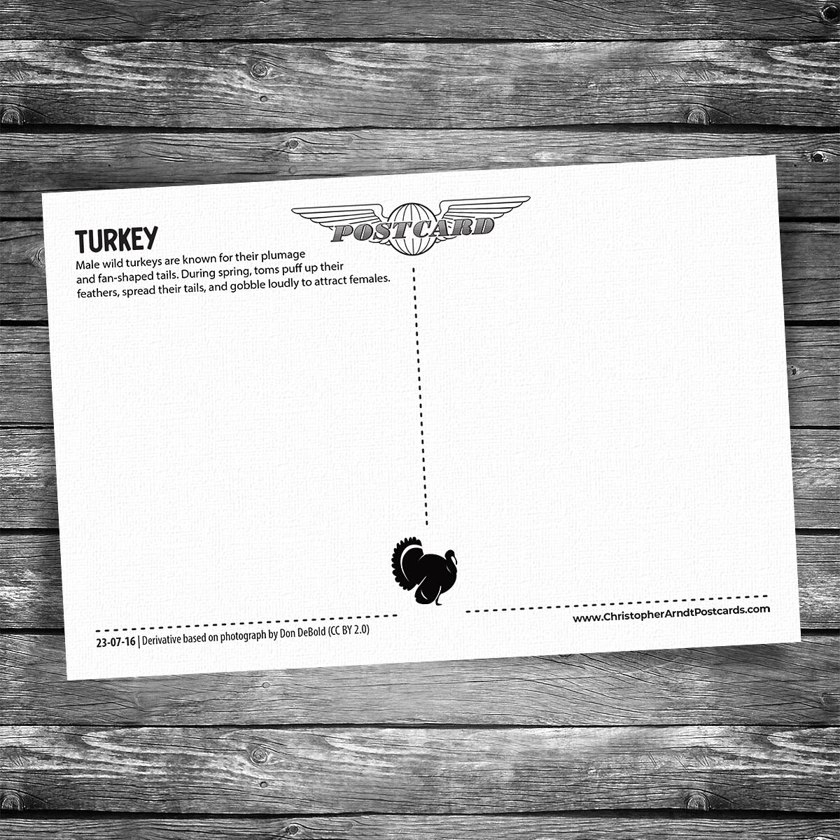Turkeys Postcard