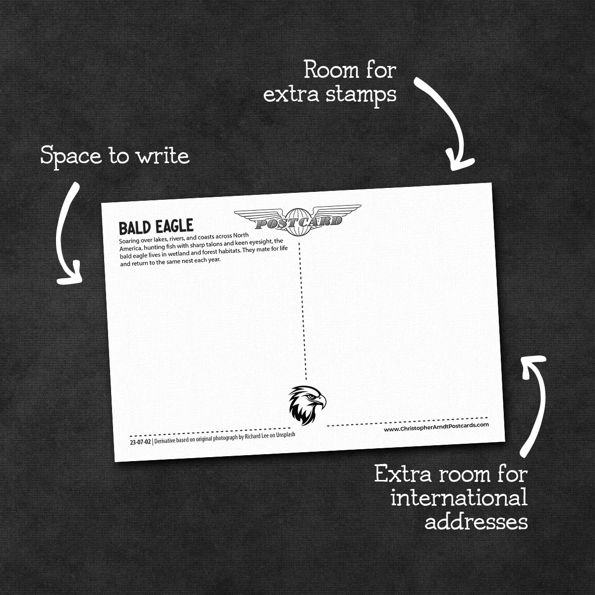 Iconic Animals of North America Postcards | Set of 16