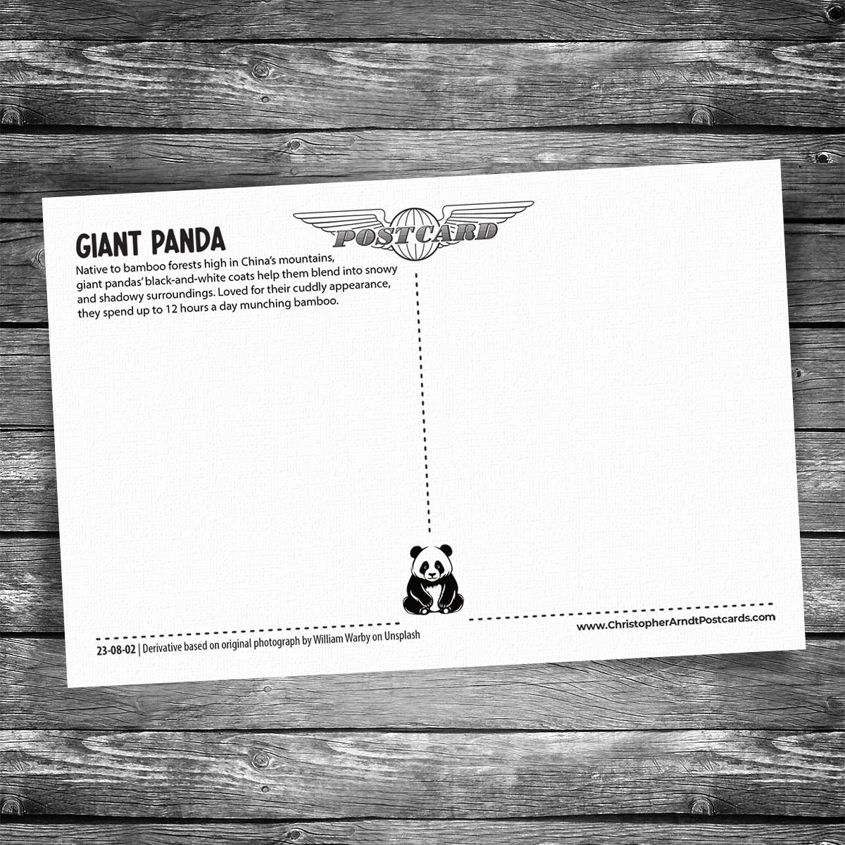 Giant Panda Postcard
