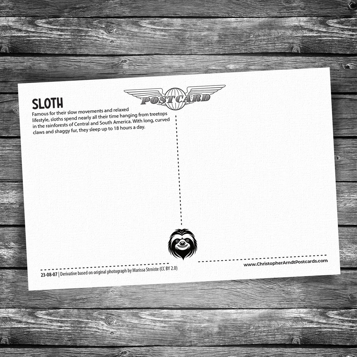Sloth Postcard