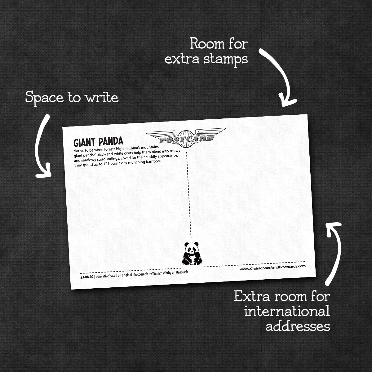 Cute and Cuddly Animal Postcards | Set of 8