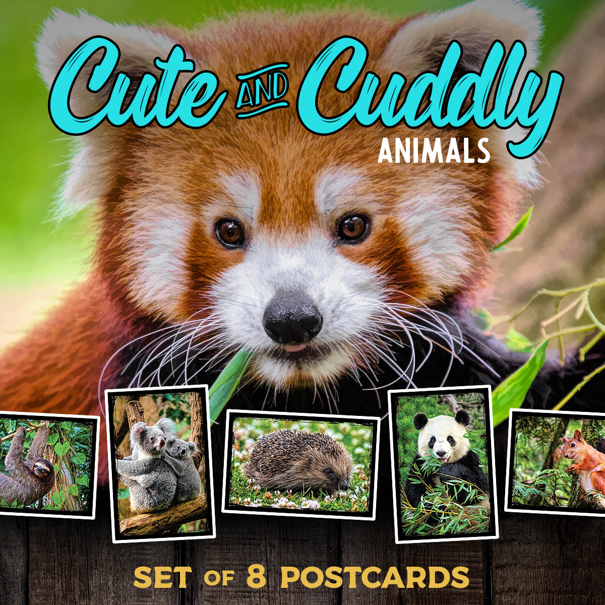 Cute and Cuddly Animal Postcards | Set of 8