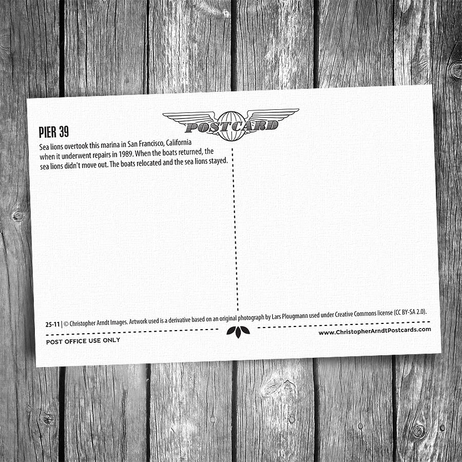 San Francisco Pier 39 Postcard