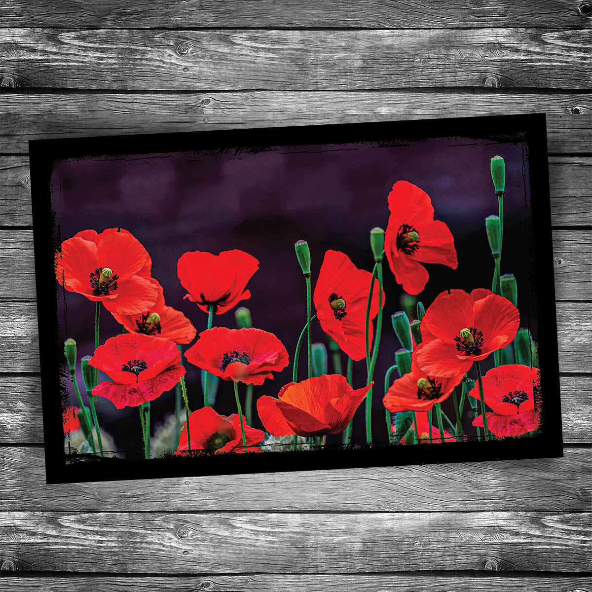 Poppy Postcard