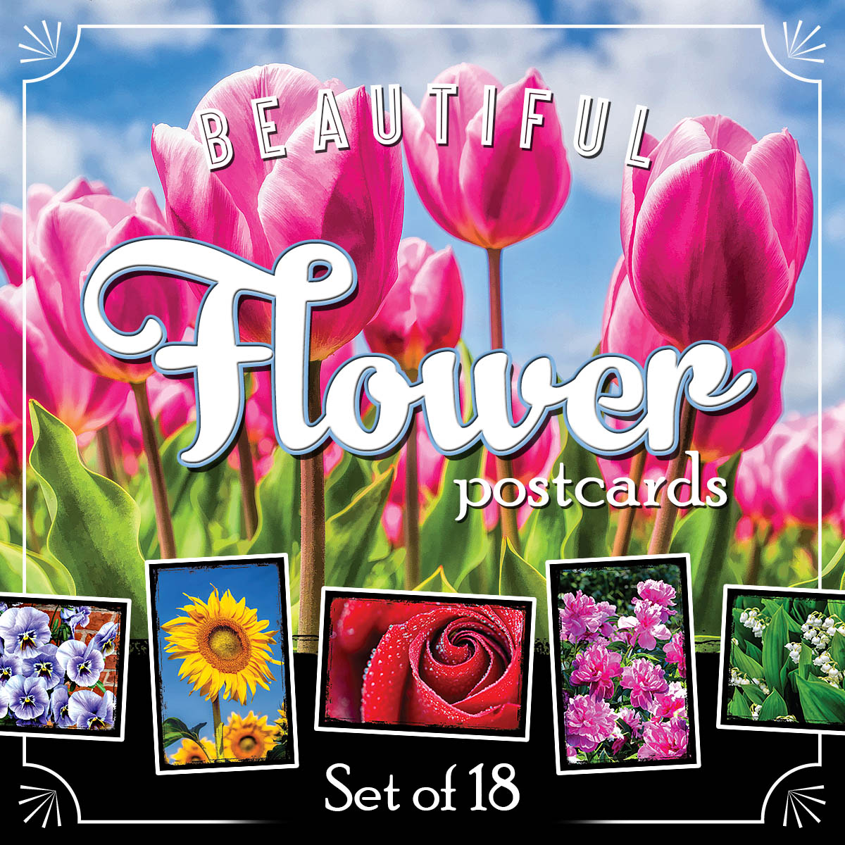 Flower Postcards | Set of 18