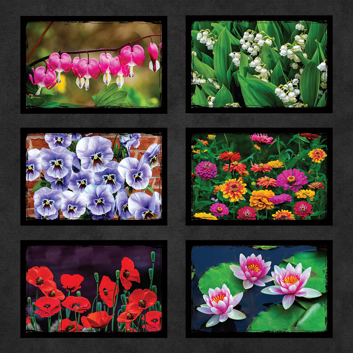 Flower Postcards | Set of 18
