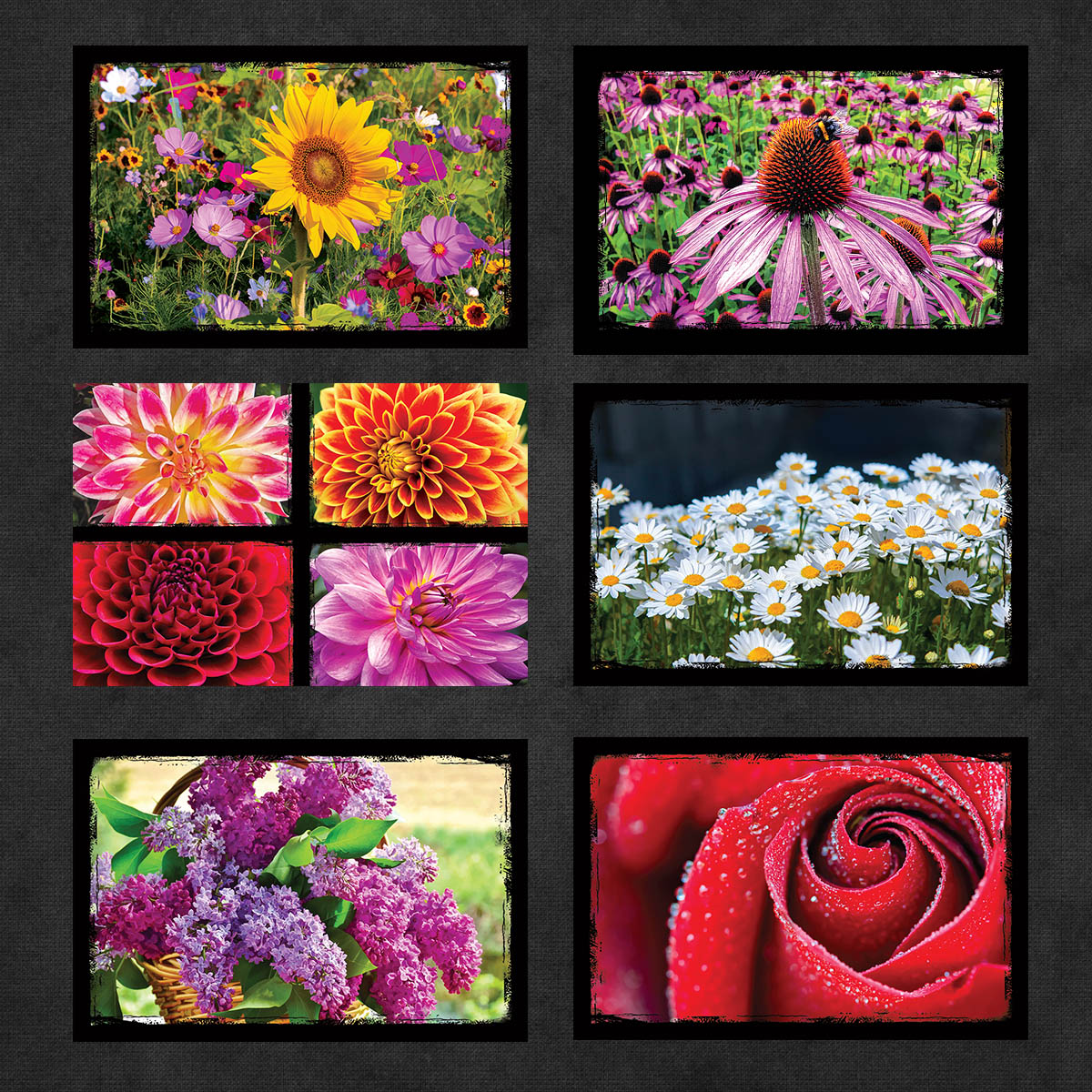 Flower Postcards | Set of 18