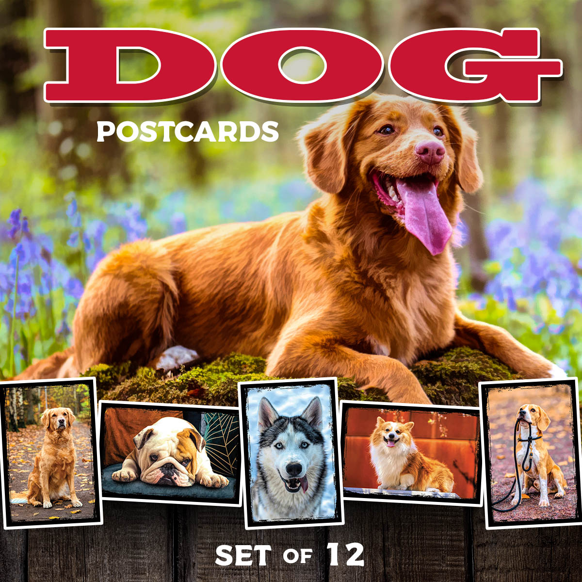 Dog and Puppy Postcards | Set of 12