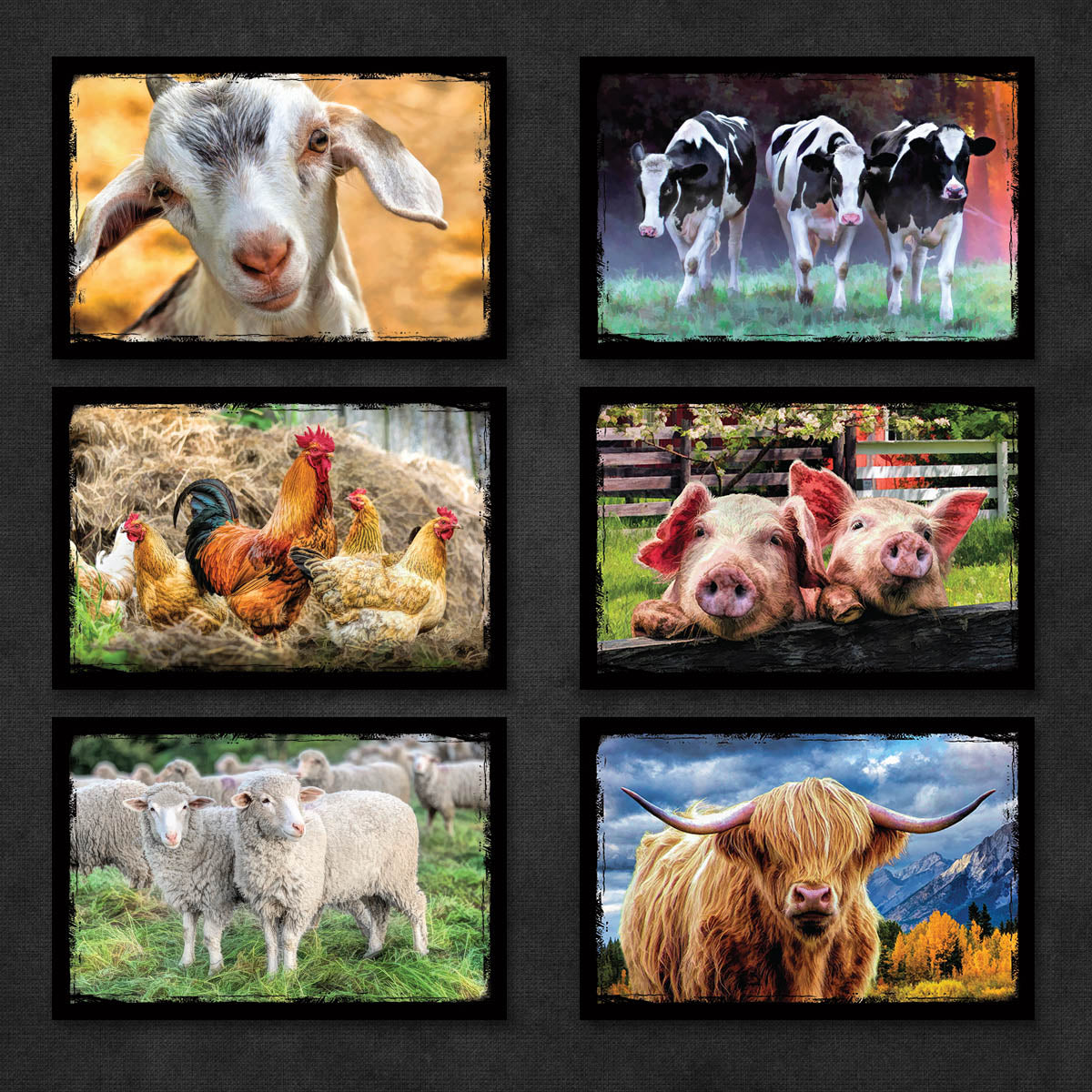 Farm Animal Postcards | Set of 12