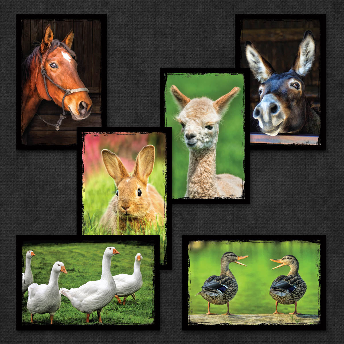 Farm Animal Postcards | Set of 12