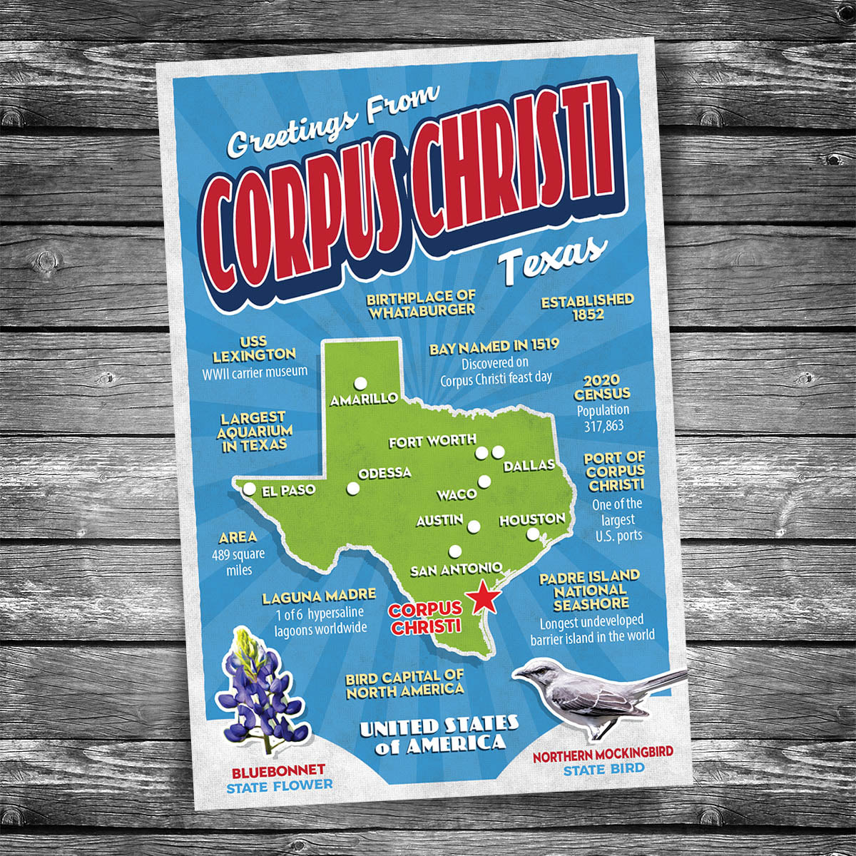 Greetings from Corpus Christi TX Postcard | Set of 8