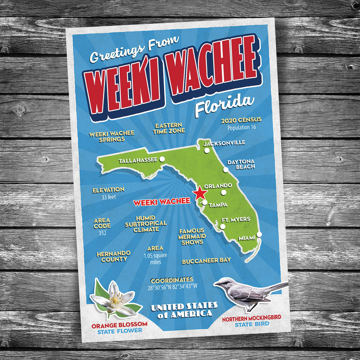 Greetings from Weeki Wachee FL Postcard | Set of 8