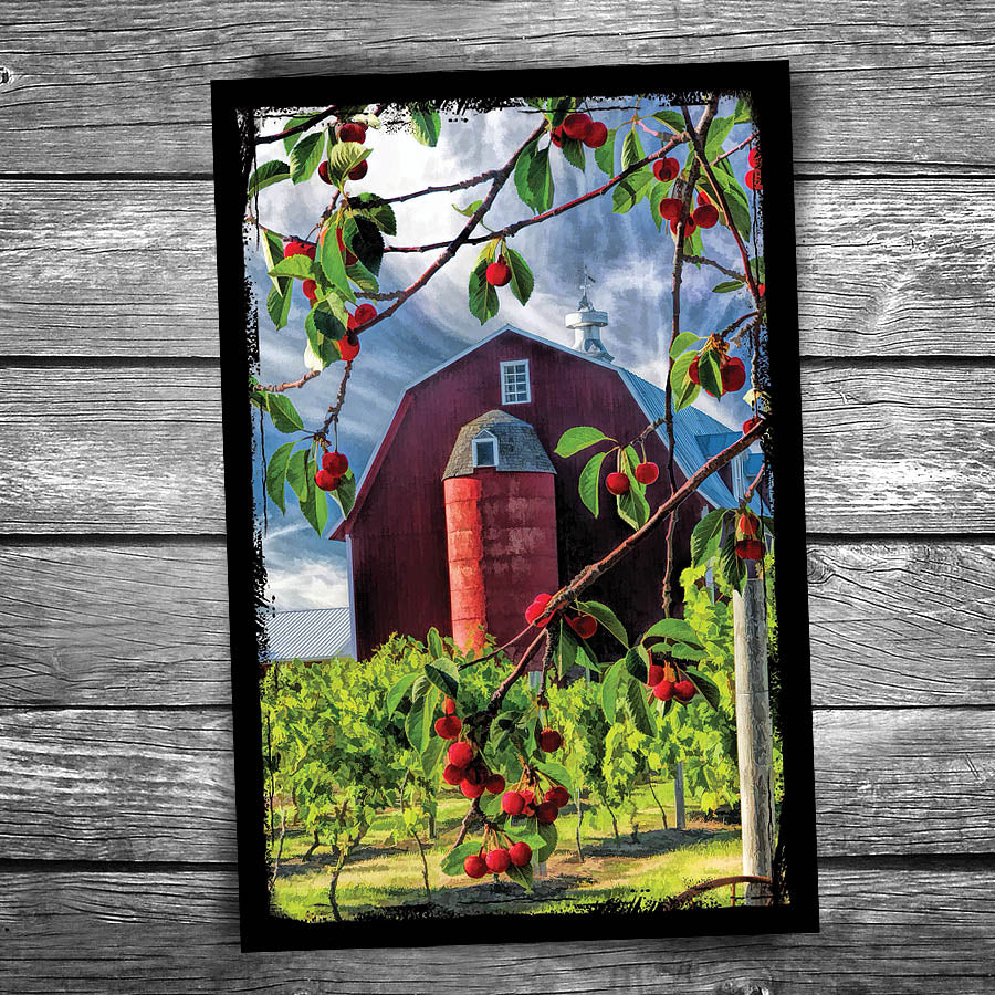 Door County Cherry Barn Postcard