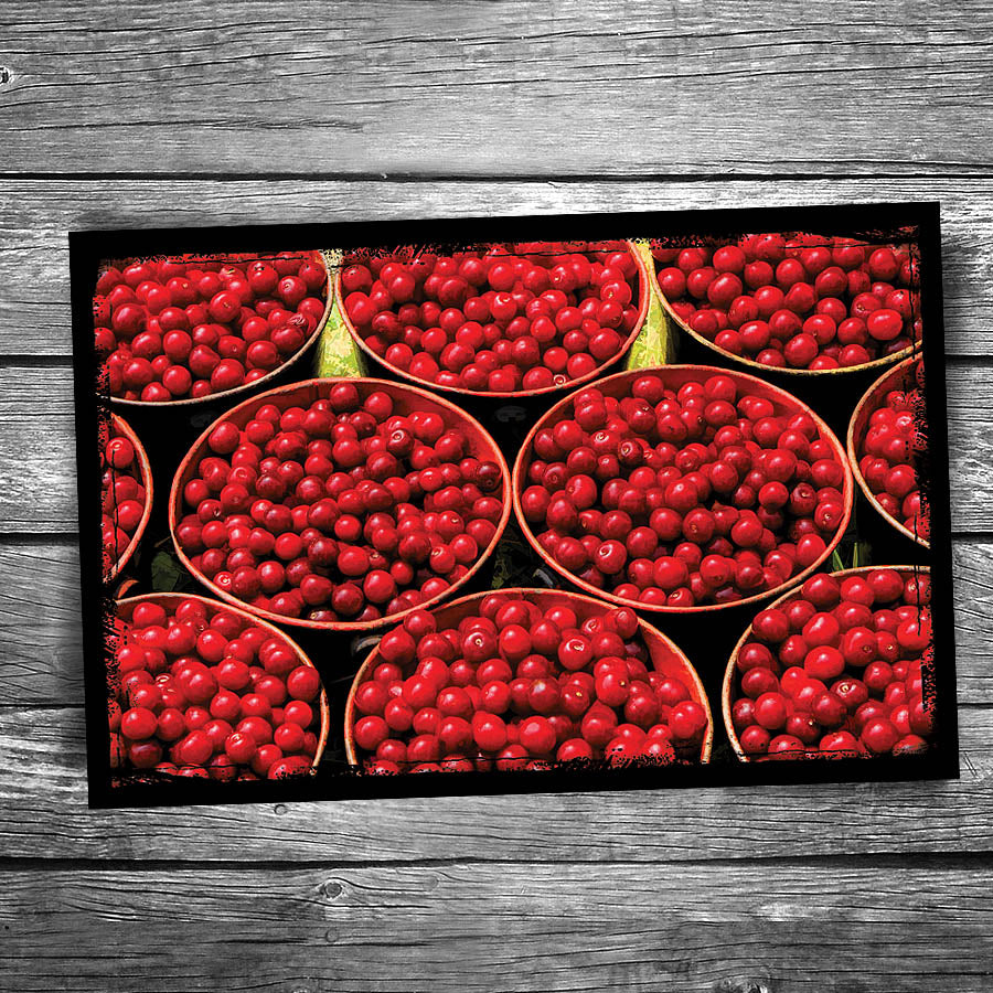 Door County Cherry Buckets Postcard