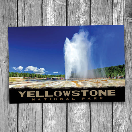 Yellowstone National Park Beehive Geyser Postcard