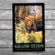 Grand Teton National Park Moose Postcard