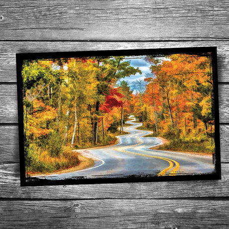 Door County Curvy Road to Northport Postcard