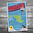 Greetings from Maryland Postcard
